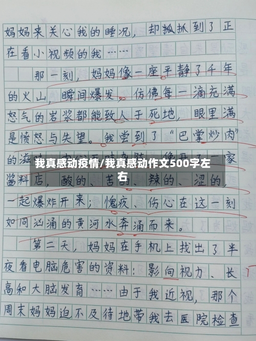 我真感动疫情/我真感动作文500字左右-第2张图片
