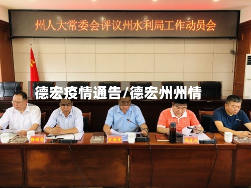 德宏疫情通告/德宏州州情-第2张图片