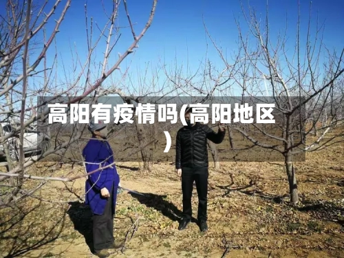 高阳有疫情吗(高阳地区)-第3张图片