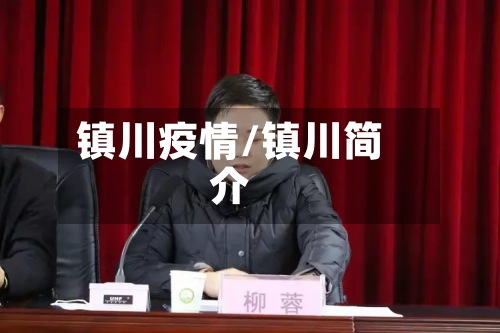 镇川疫情/镇川简介
