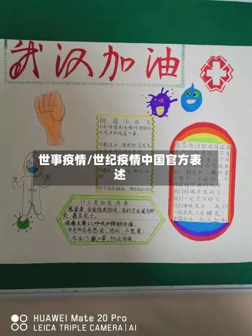 世事疫情/世纪疫情中国官方表述-第2张图片