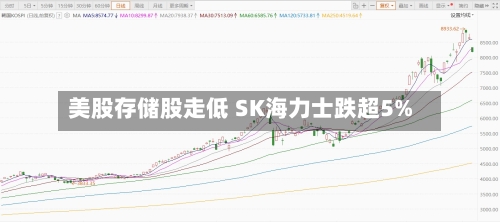 美股存储股走低 SK海力士跌超5%-第2张图片