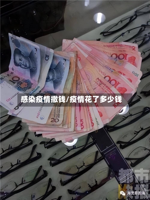 感染疫情撒钱/疫情花了多少钱