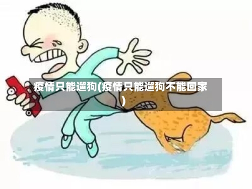 疫情只能遛狗(疫情只能遛狗不能回家)-第3张图片