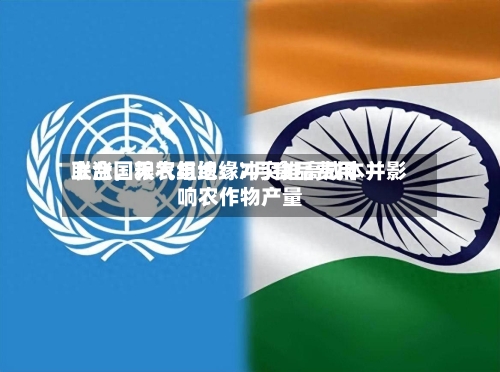 联合国粮农组织：7月食品费用上涨，天气与地缘冲突推高成本并影响农作物产量-第2张图片