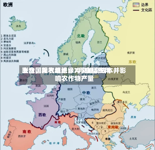 联合国粮农组织：7月食品费用上涨，天气与地缘冲突推高成本并影响农作物产量