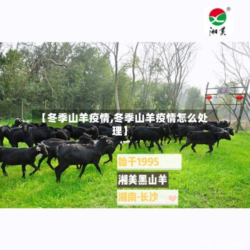 【冬季山羊疫情,冬季山羊疫情怎么处理】