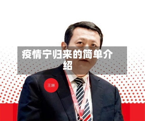 疫情宁归来的简单介绍