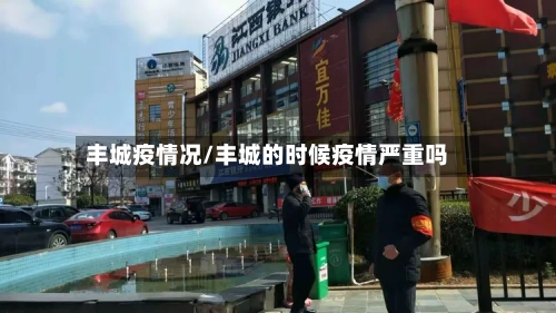 丰城疫情况/丰城的时候疫情严重吗-第2张图片