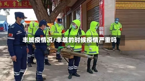 丰城疫情况/丰城的时候疫情严重吗