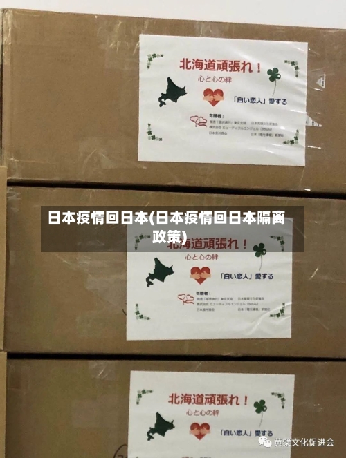日本疫情回日本(日本疫情回日本隔离政策)-第3张图片