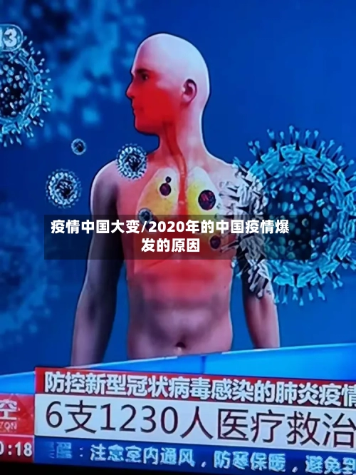 疫情中国大变/2020年的中国疫情爆发的原因-第2张图片