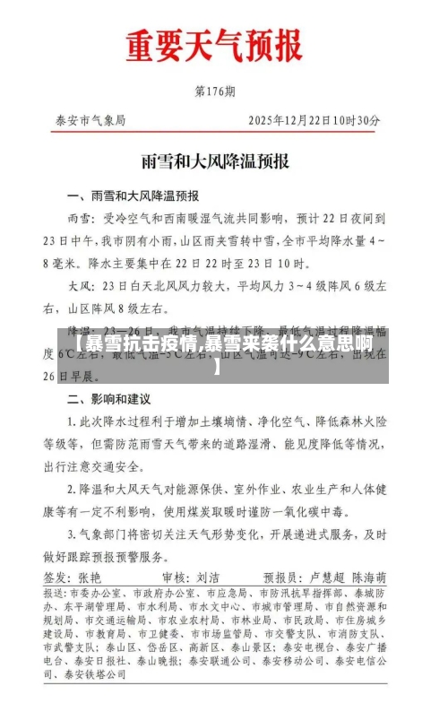【暴雪抗击疫情,暴雪来袭什么意思啊】-第3张图片