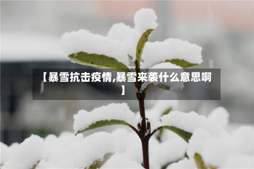 【暴雪抗击疫情,暴雪来袭什么意思啊】-第2张图片