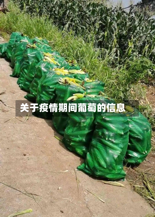 关于疫情期间葡萄的信息
