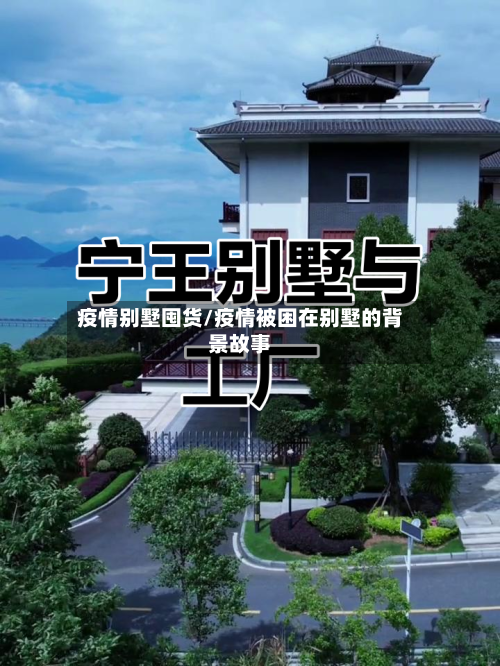 疫情别墅囤货/疫情被困在别墅的背景故事