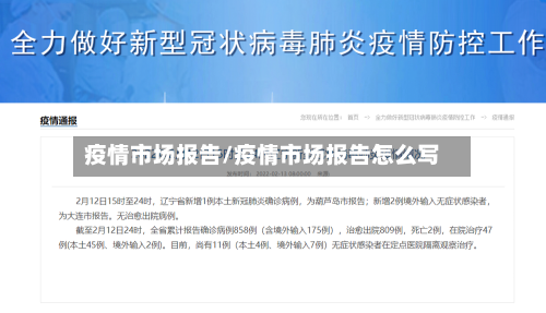 疫情市场报告/疫情市场报告怎么写-第2张图片