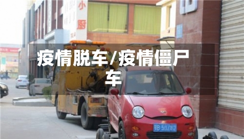 疫情脱车/疫情僵尸车-第2张图片