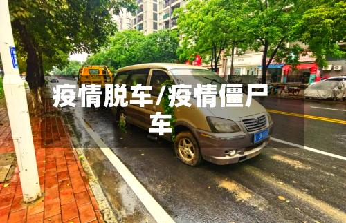 疫情脱车/疫情僵尸车-第3张图片