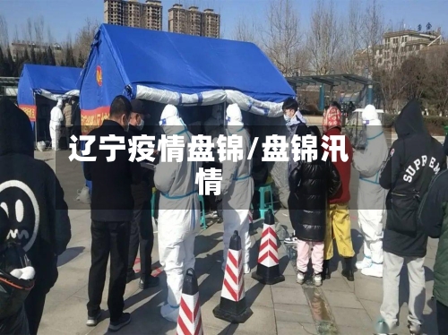 辽宁疫情盘锦/盘锦汛情-第2张图片