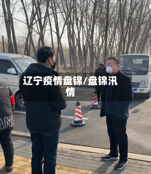 辽宁疫情盘锦/盘锦汛情-第3张图片
