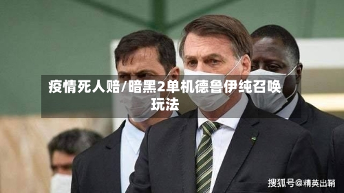 疫情死人赔/暗黑2单机德鲁伊纯召唤玩法-第2张图片