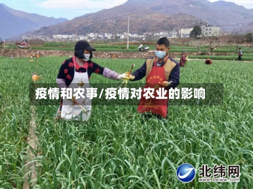 疫情和农事/疫情对农业的影响-第3张图片