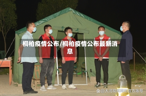 桐柏疫情公布/桐柏疫情公布最新消息-第1张图片