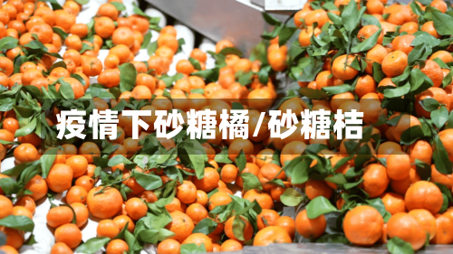 疫情下砂糖橘/砂糖桔-第2张图片