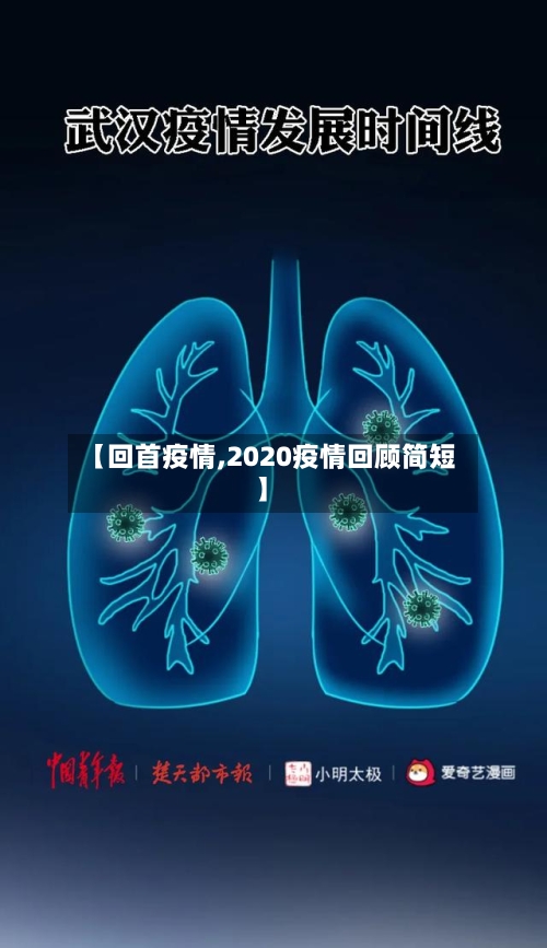 【回首疫情,2020疫情回顾简短】-第2张图片