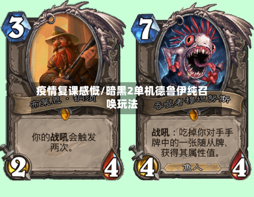 疫情复课感慨/暗黑2单机德鲁伊纯召唤玩法