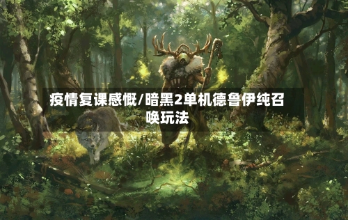疫情复课感慨/暗黑2单机德鲁伊纯召唤玩法-第2张图片