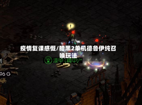 疫情复课感慨/暗黑2单机德鲁伊纯召唤玩法-第3张图片