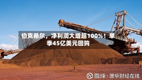伯克希尔，净利润大增超100%！单季45亿美元回购-第2张图片