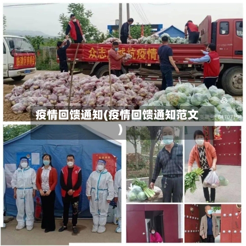 疫情回馈通知(疫情回馈通知范文)-第3张图片