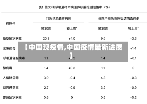 【中国现疫情,中国疫情最新进展】-第2张图片