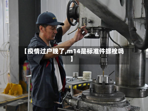 【疫情过户晚了,m14是标准件螺栓吗】-第2张图片