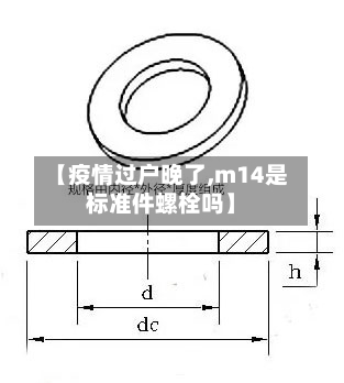 【疫情过户晚了,m14是标准件螺栓吗】-第3张图片