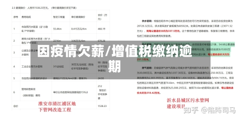 因疫情欠薪/增值税缴纳逾期
