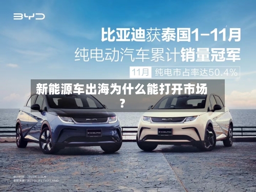 新能源车出海为什么能打开市场？-第3张图片