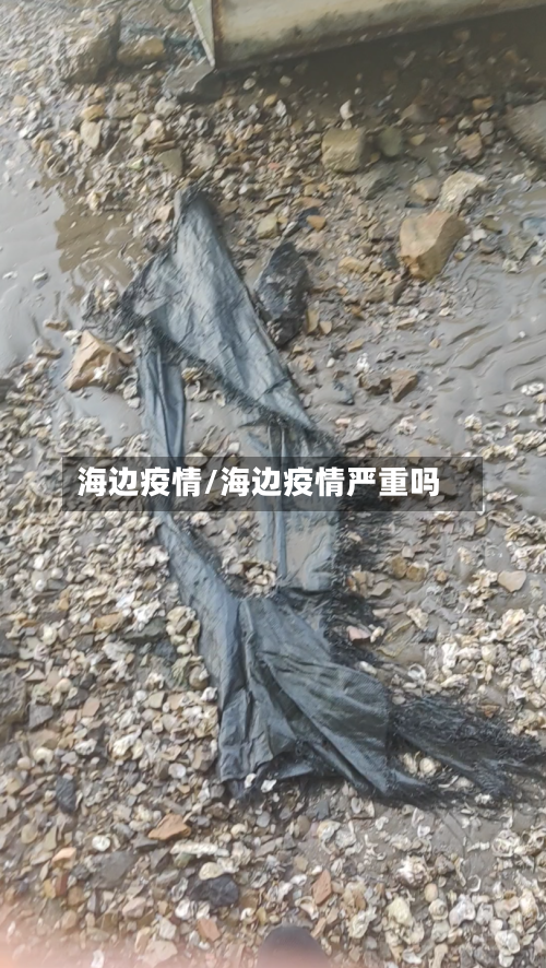 海边疫情/海边疫情严重吗-第2张图片