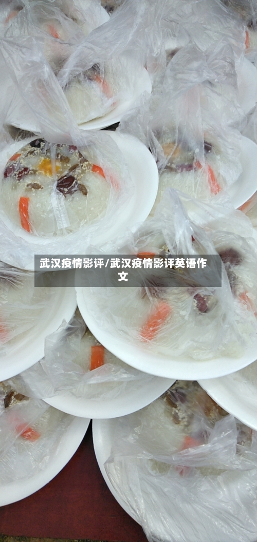 武汉疫情影评/武汉疫情影评英语作文