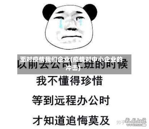 面对疫情我们企业(疫情对中小企业的冲击)-第2张图片