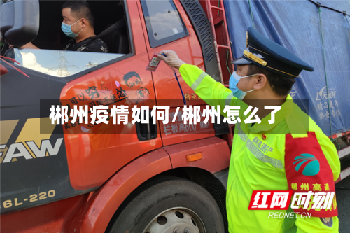 郴州疫情如何/郴州怎么了