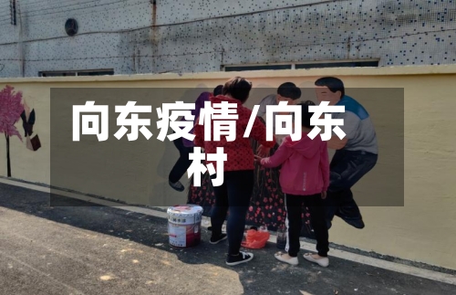 向东疫情/向东村
