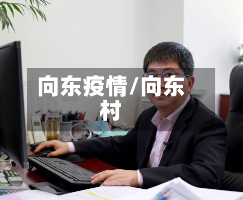 向东疫情/向东村-第2张图片