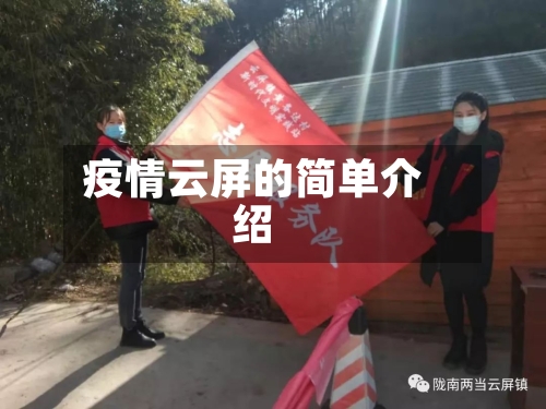 疫情云屏的简单介绍