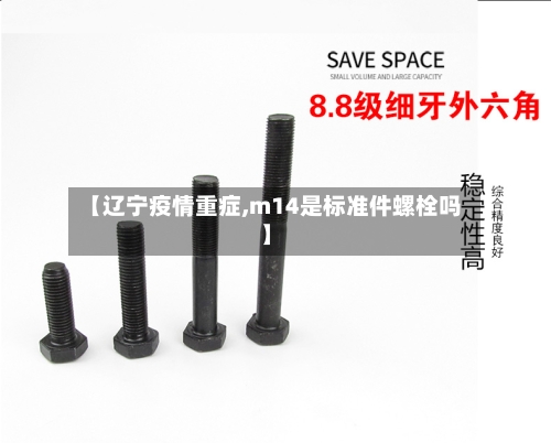 【辽宁疫情重症,m14是标准件螺栓吗】-第3张图片