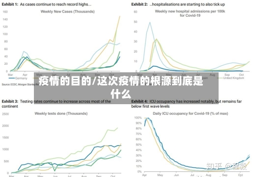 疫情的目的/这次疫情的根源到底是什么