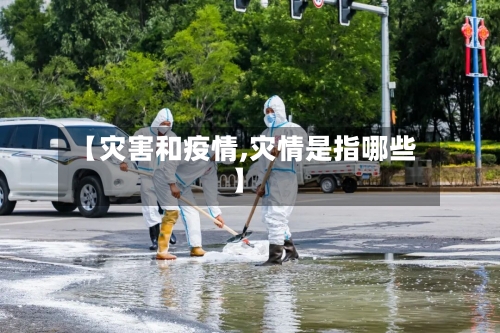【灾害和疫情,灾情是指哪些】